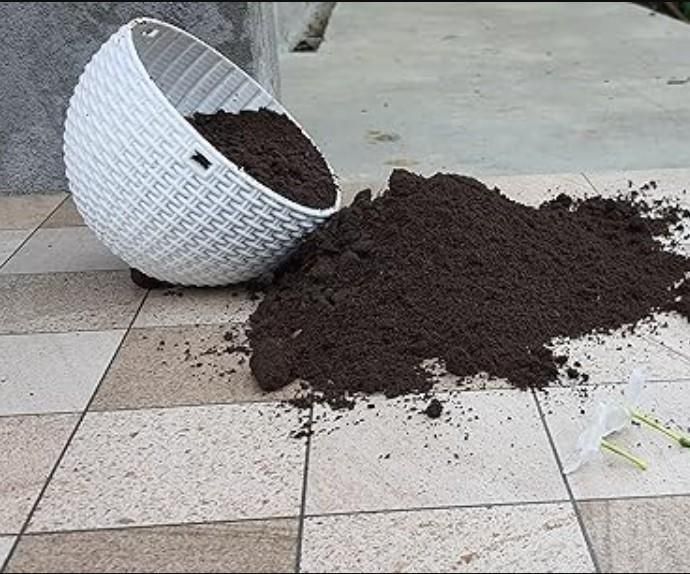 Organic Vermicompost 200gm Each (Pack of 2)