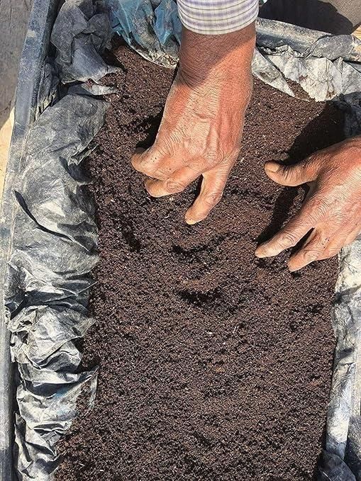 Organic Vermicompost 200gm Each (Pack of 2)